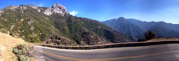 estrada para o parque da sequoia