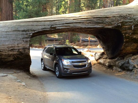 car tunel sequoia